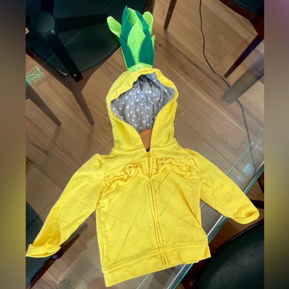 $5 💥Pineapple Costume!! The Cutest, Handmade, Felt Stem, Criss Cross Hoodie